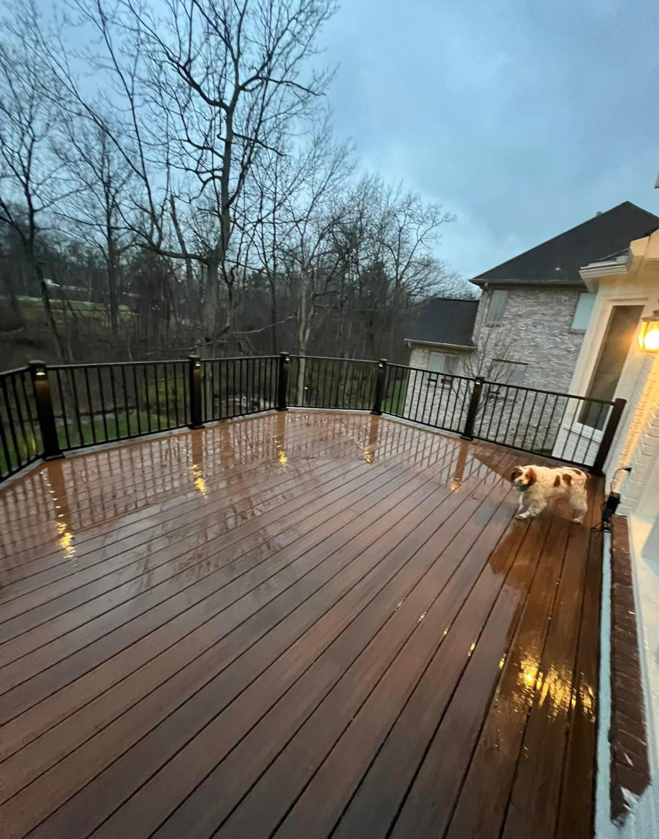 Curved Backyard Deck